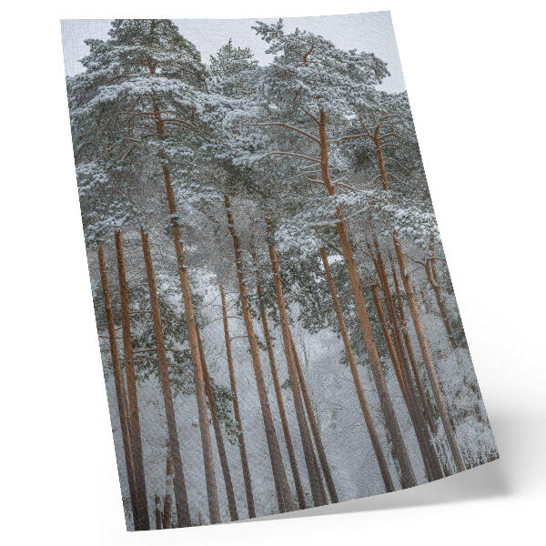Poster rezistent pentru perete Pădure de iarnă zăpadă copaci pace armonie natură