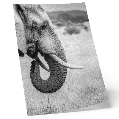 Poster rezistent pentru perete Portretul unui elefant în alb și negru