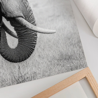 Poster rezistent pentru perete Portretul unui elefant în alb și negru