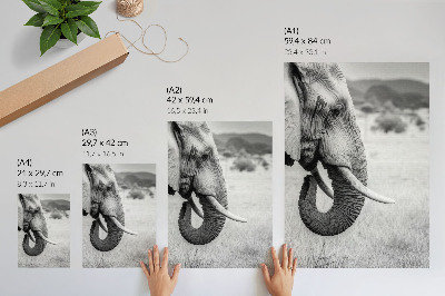 Poster rezistent pentru perete Portretul unui elefant în alb și negru