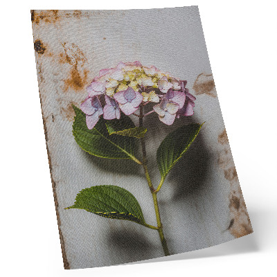 Poster rezistent pentru perete Hortensie roz frunze verzi fundal rustic