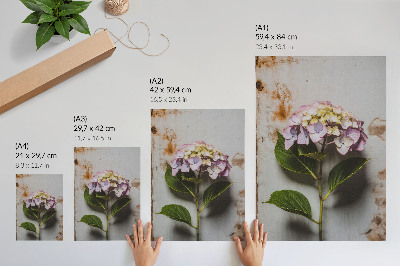 Poster rezistent pentru perete Hortensie roz frunze verzi fundal rustic