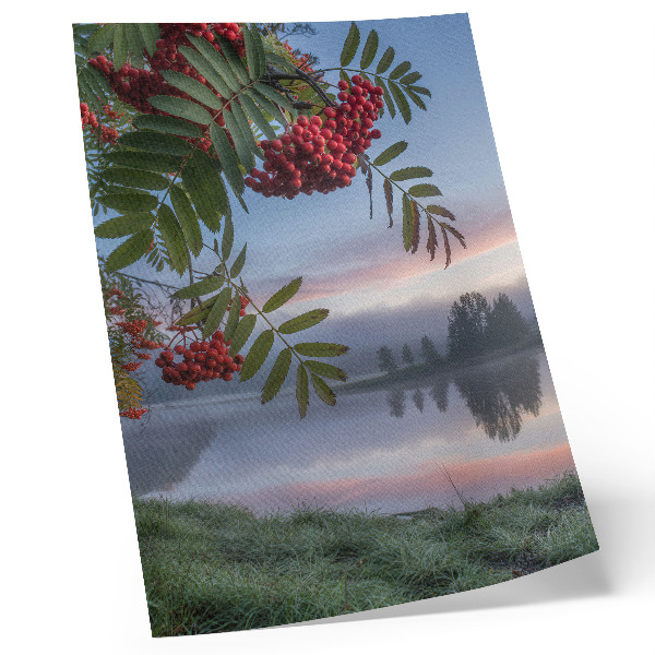 Poster rezistent pentru perete Lac dimineața, sorbul de munte, ceață delicată, natură
