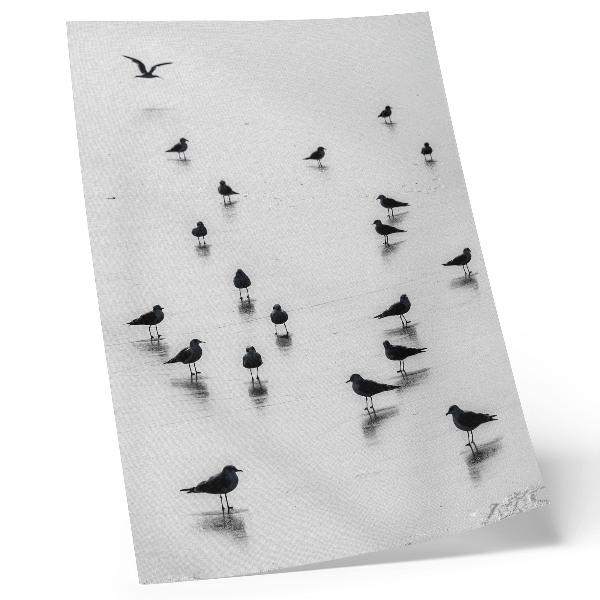 Poster în culori saturate Păsări deasupra apei, reflecții subtile, minimalism