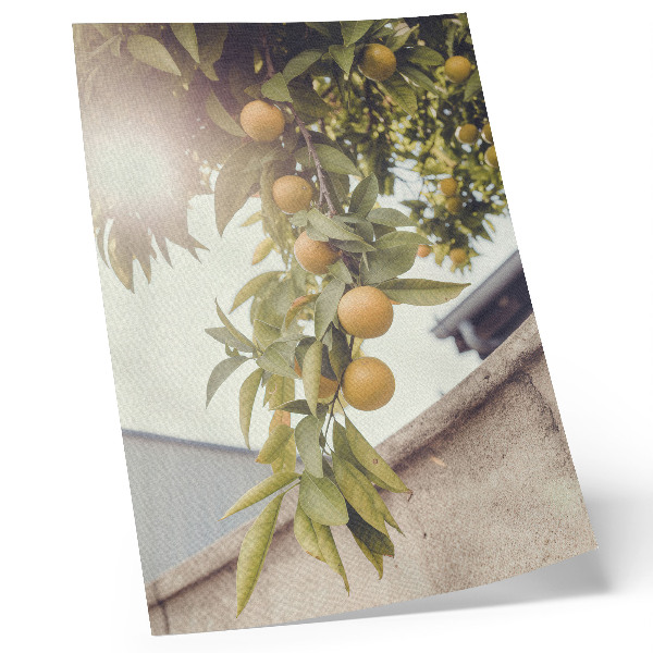 Poster rezistent pentru perete Crenguță de copac soare verde frunze portocalii