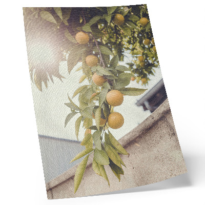Poster rezistent pentru perete Crenguță de copac soare verde frunze portocalii