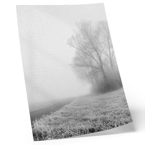 Poster în culori saturate Ceață subtilă a copacilor peisaj de iarnă atmosferă liniștită