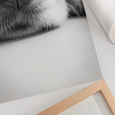 Poster în culori saturate Prim-plan al unui câine alb-negru textură minimalism