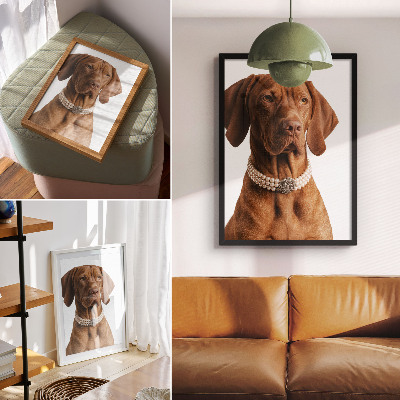 Poster rezistent pentru perete Colier elegant pentru câini cu finisaj luxos