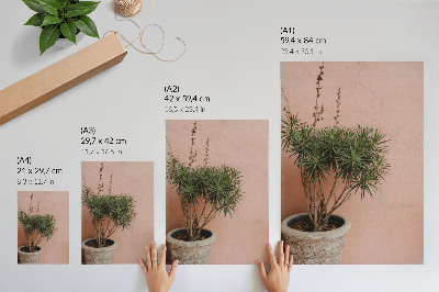 Grafică modernă pe pânză Plantă verde pe fundalul unui perete de piersici