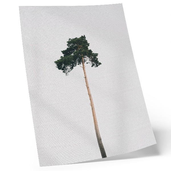 Poster rezistent pentru perete Un copac singuratic pe un fundal deschis cu minimalism