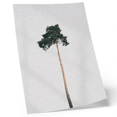Poster rezistent pentru perete Un copac singuratic pe un fundal deschis cu minimalism