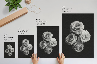Poster în culori saturate Trandafiri alb-negru, minimalism, eleganță clasică