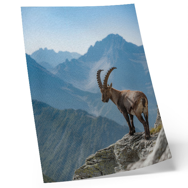 Poster rezistent pentru perete Capricorn pe fundalul munților, armonia pașnică a naturii