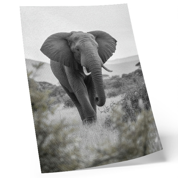 Poster rezistent pentru perete Un elefant mare pe un fundal natural