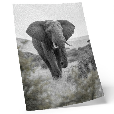 Poster rezistent pentru perete Un elefant mare pe un fundal natural