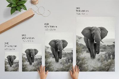 Poster rezistent pentru perete Un elefant mare pe un fundal natural