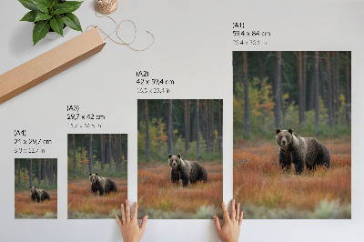 Poster în culori saturate Urs în pădurea de toamnă, naturalețe și pace