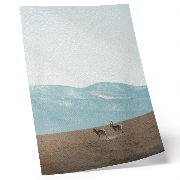 Poster în culori saturate Antilope pe fundalul munților, un spațiu liniștit