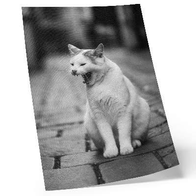 Poster rezistent pentru perete Pisică adorabilă pe o stradă pietruită cu o estetică alb-negru