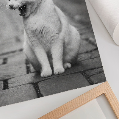 Poster rezistent pentru perete Pisică adorabilă pe o stradă pietruită cu o estetică alb-negru