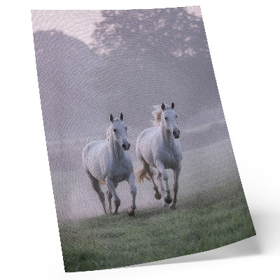 Poster rezistent pentru perete Cai albi ceață de dimineață spațiu natură