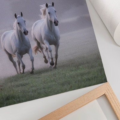 Poster rezistent pentru perete Cai albi ceață de dimineață spațiu natură