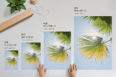 Grafică modernă pe pânză frunze de palmier fundal albastru lumina soarelui
