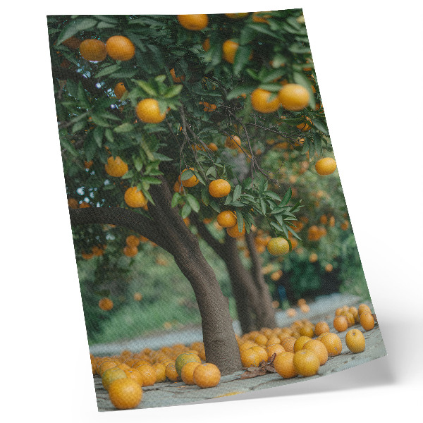 Poster în culori saturate Portocale zemoase pe un copac într-o livadă verde