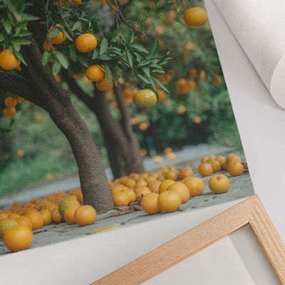 Poster în culori saturate Portocale zemoase pe un copac într-o livadă verde