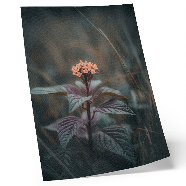 Poster rezistent pentru perete O plantă cu o floare colorată pe un fundal verde