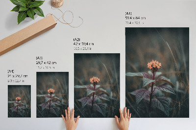 Poster rezistent pentru perete O plantă cu o floare colorată pe un fundal verde