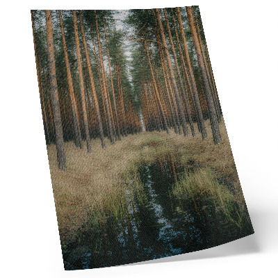 Poster rezistent pentru perete Peisaj forestier simplu, simetrie a pădurii înalte