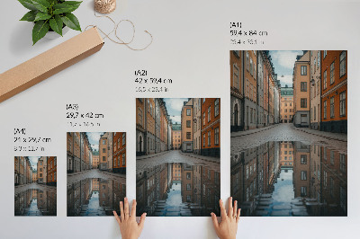 Poster în culori saturate Case de locuit istorice cu piscină în stil modern