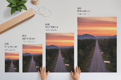 Poster în culori saturate Un drum drept prin pădure într-un apus de soare pastelat