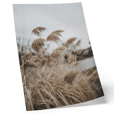 Poster rezistent pentru perete Fire delicate de iarbă maro gri atmosferă a naturii