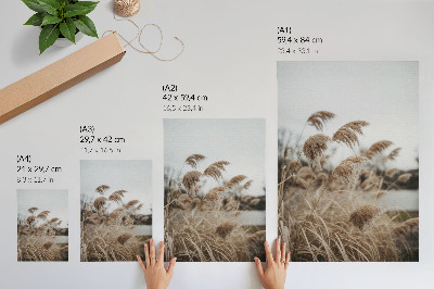 Poster rezistent pentru perete Fire delicate de iarbă maro gri atmosferă a naturii