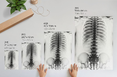 Grafică modernă pe pânză Schelet în alb și negru