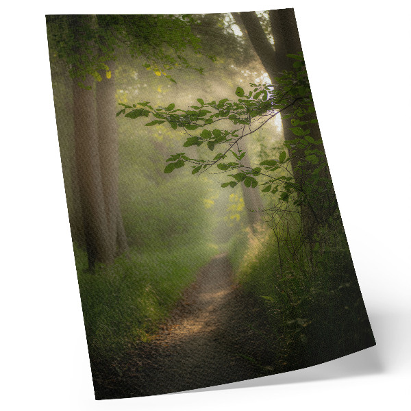 Grafică modernă pe pânză Frunze verzi, rază de lumină, potecă de pădure