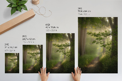 Grafică modernă pe pânză Frunze verzi, rază de lumină, potecă de pădure