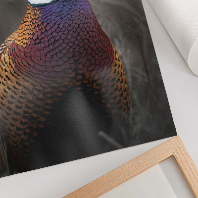 Grafică modernă pe pânză Pene colorate de fazan, culori intense, pace