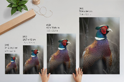 Grafică modernă pe pânză Pene colorate de fazan, culori intense, pace