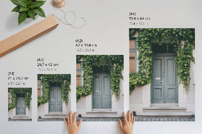 Grafică modernă pe pânză Viță de vie verde, uși gri, compoziție armonioasă