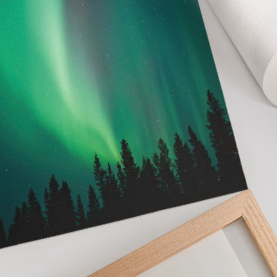Poster rezistent pentru perete Aurora copaci verzi noapte natură magică