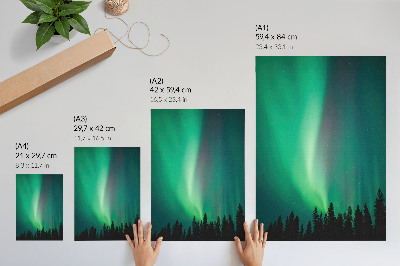 Poster rezistent pentru perete Aurora copaci verzi noapte natură magică