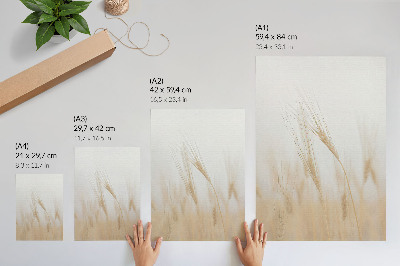 Grafică modernă pe pânză Eleganța minimalistă a spicelor de grâu