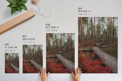 Grafică modernă pe pânză Cale de lemn pădure copaci culori toamnă