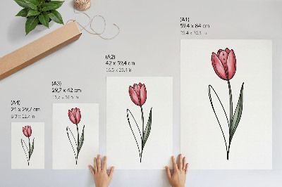 Poster rezistent pentru perete Lalea roz, contur simplu, luminozitate