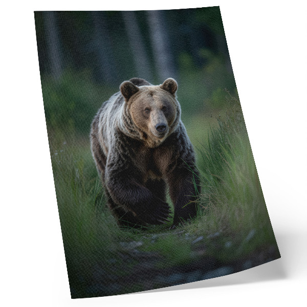 Poster în culori saturate Un urs mândru într-un cadru forestier