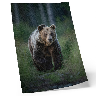 Poster în culori saturate Un urs mândru într-un cadru forestier